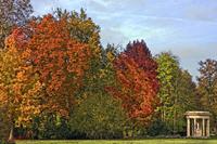 Cjp_2009_10_29_150847 (1)_HDR-D2.jpg